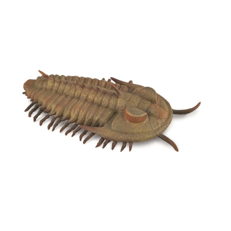 Collecta - Figurine - Redlichia rex trilobite