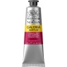 Winsor et Newton - Acrylique - Rose permanent - 60ml
