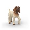 Schleich - 14930 - Chevreau Boer