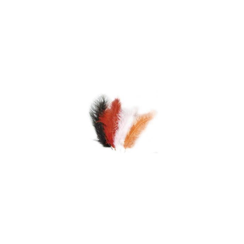 Rayher - Blister de 15 plumes colorées - Couleurs assorties - 10 à 15 cm