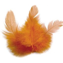 1 sachet de 3 grammes de Plumes de coq - Orange