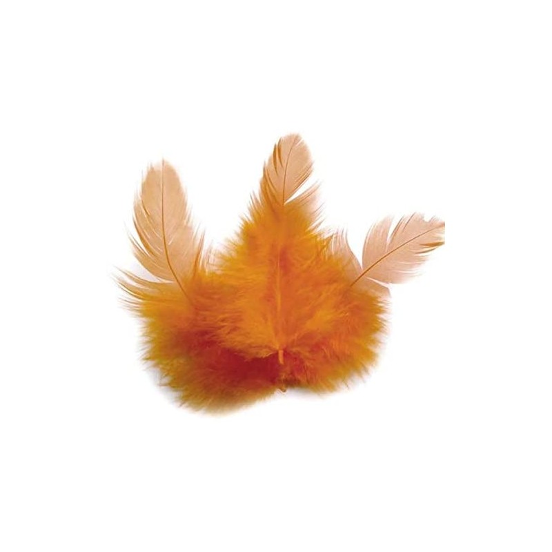 1 sachet de 3 grammes de Plumes de coq - Orange