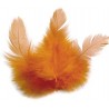 1 sachet de 3 grammes de Plumes de coq - Orange