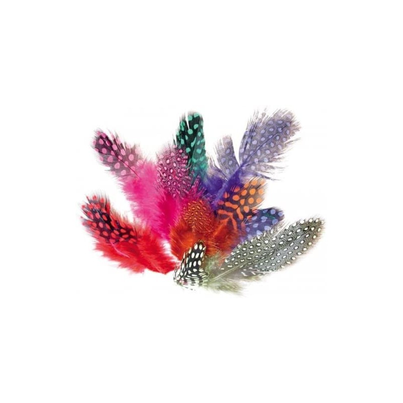 Plumes de pintade - Assortiment de 10 gr