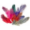 Plumes de pintade - Assortiment de 10 gr