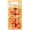 Rayher - Blister de 8 fleurs roses en papier - Orange - 15 mm