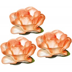 Rayher - Blister de 8 fleurs roses en papier - Orange - 15 mm