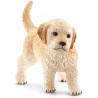 Schleich - 16396 - Farm World - Chiot Golden Retriever