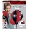 Punching Ball et gants