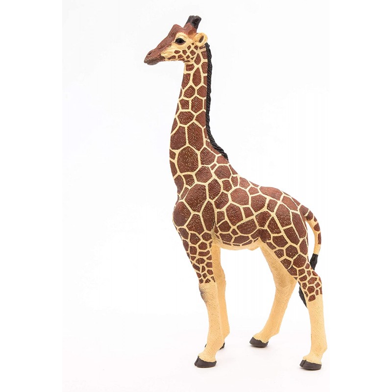 Papo - Figurine - 50149 - La vie sauvage - Girafe mâle
