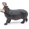 Papo - Figurine - 50051 - La vie sauvage - Hippopotame