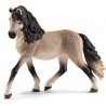 Schleich - 13793 - Horse Club - Jument andalouse