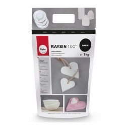 Rayher - Poudre de moulage Raysin 100 - Plâtre résine - 1 Kg