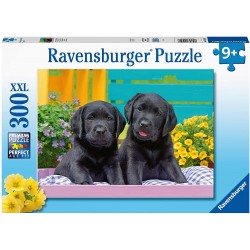 Ravensburger - Puzzle 300 pièces XXL - Labradors noirs