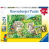 Ravensburger - Puzzles 2x24 pièces - Mignons koalas et pandas