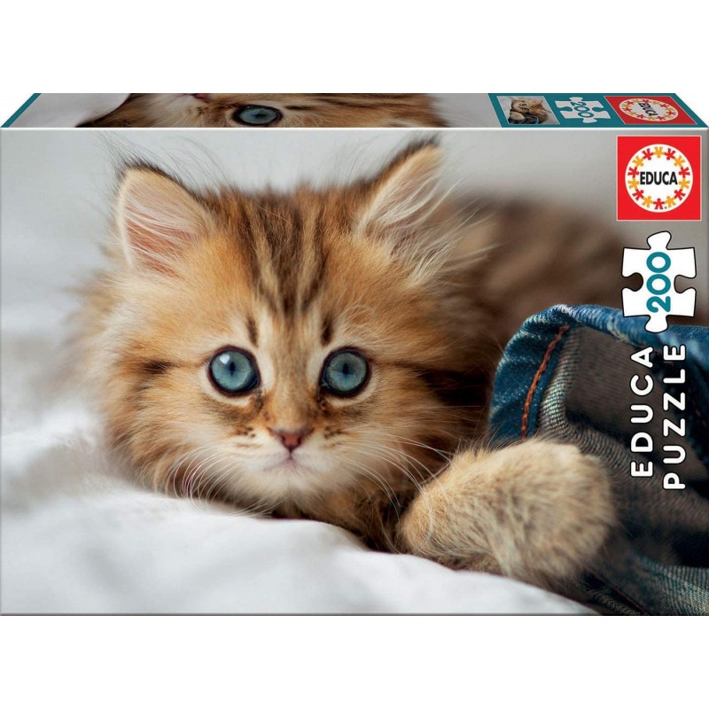 Educa - Puzzle 200 pièces - Petit chaton