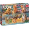 Jumbo - Puzzle 500 pièces - Rêve de chat
