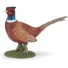 Papo - Figurine - 50263 - La vie sauvage - Faisan