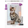 Nathan - Puzzle 500 pièces - Chaton Bengal