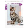 Ravensburger - Puzzle Nathan 500 pièces - Chaton Bengal