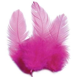 1 sachet de 3 grammes de Plumes de coq - Rose vif