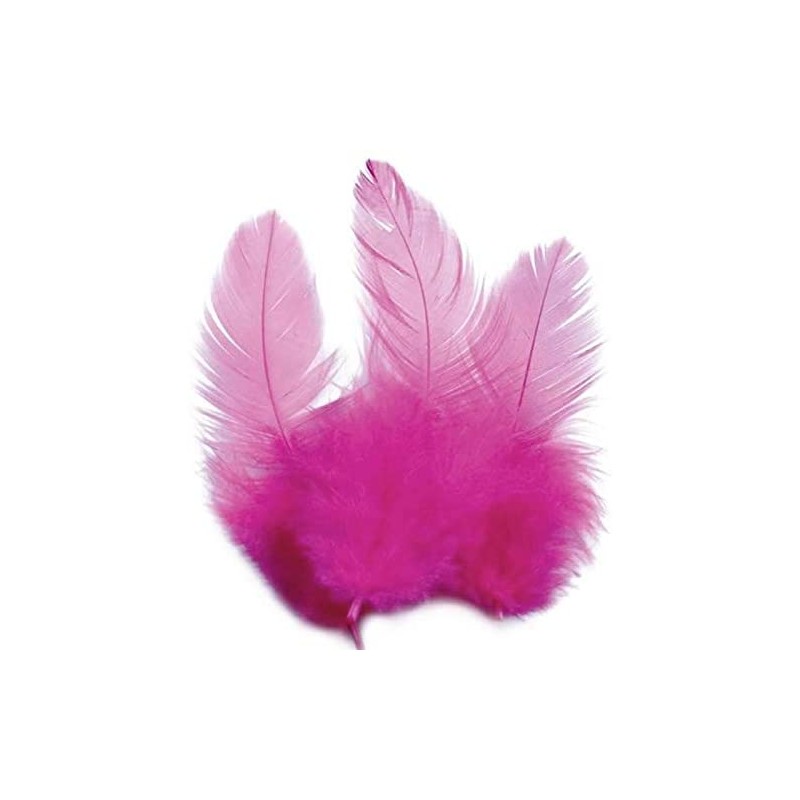 1 sachet de 3 grammes de Plumes de coq - Rose vif