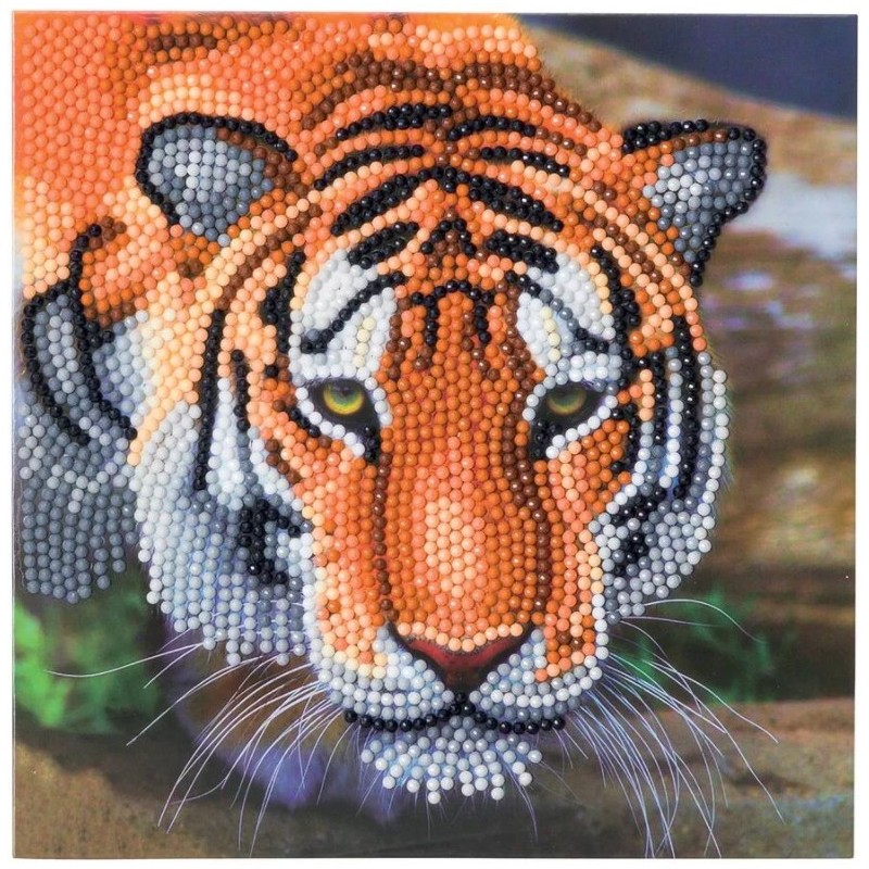 OZ - Loisirs créatifs - Crystal Art - Kit carte broderie diamant 18x18cm Tigre