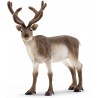 Schleich - 14837 - Wild Life - Renne