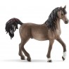 Schleich - 13907 - Horse Club - Étalon arabe