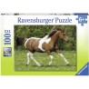 Ravensburger - Puzzle 100 pièces XXL - Au galop