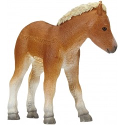 Ravensburger - tiptoi - Figurine Animal - Poulain Falabella