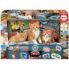 Educa - Puzzle 200 pièces - Petits chats voyageurs