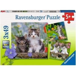 Ravensburger - Puzzles 3x49 pièces - Chatons tigrés