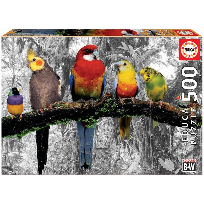 Educa - Puzzle 500 pièces - Oiseaux dans la jungle