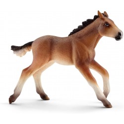 Schleich - 13807 - Horse Club - Poulain mustang