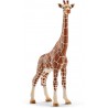 Schleich - 14750 - Wild Life - Girafe femelle