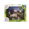Schleich - 42270 - Accessoire pour figurine - Kit de soin pour chevaux andalous