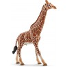 Schleich - 14749 - Wild Life - Girafe mâle