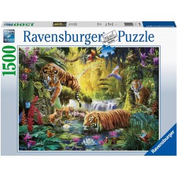 Ravensburger - Puzzle 1500 pièces - Tigres au plan d'eau