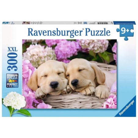 Ravensburger - Puzzle 300 pièces XXL - Mignons chiots dans la corbeille