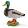 Schleich - 13824 - Farm World - Canard