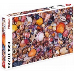 Coquillages: 1000 Pieces