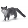 Schleich - 13893 - Farm World - Chat Maine Coon